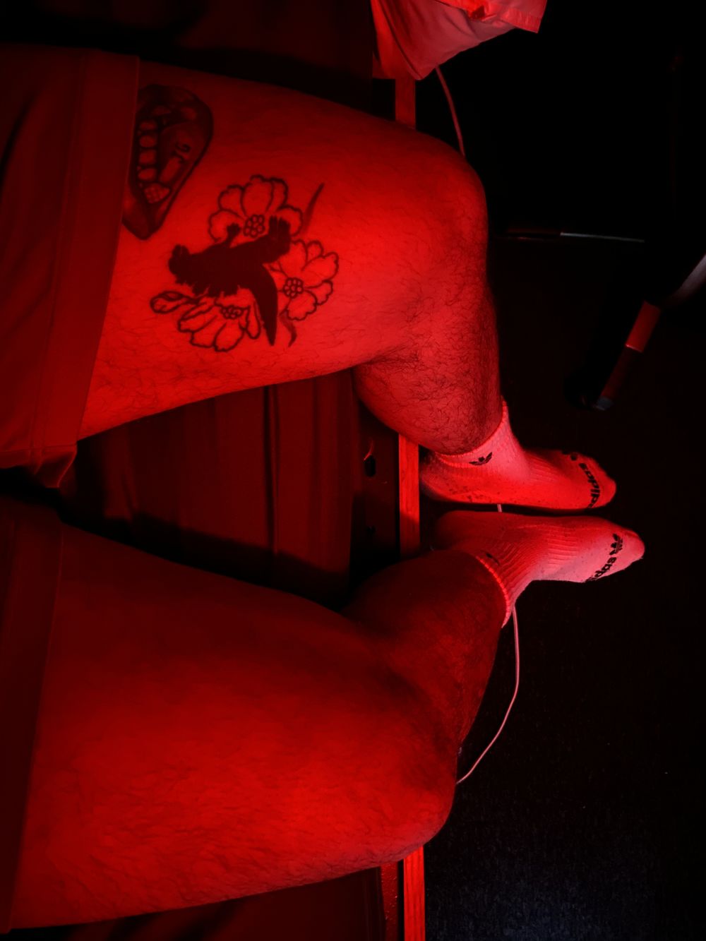 apottergold OnlyFans profile picture