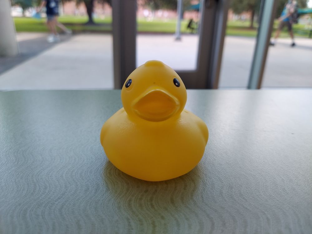 sirduckworth OnlyFans profile picture
