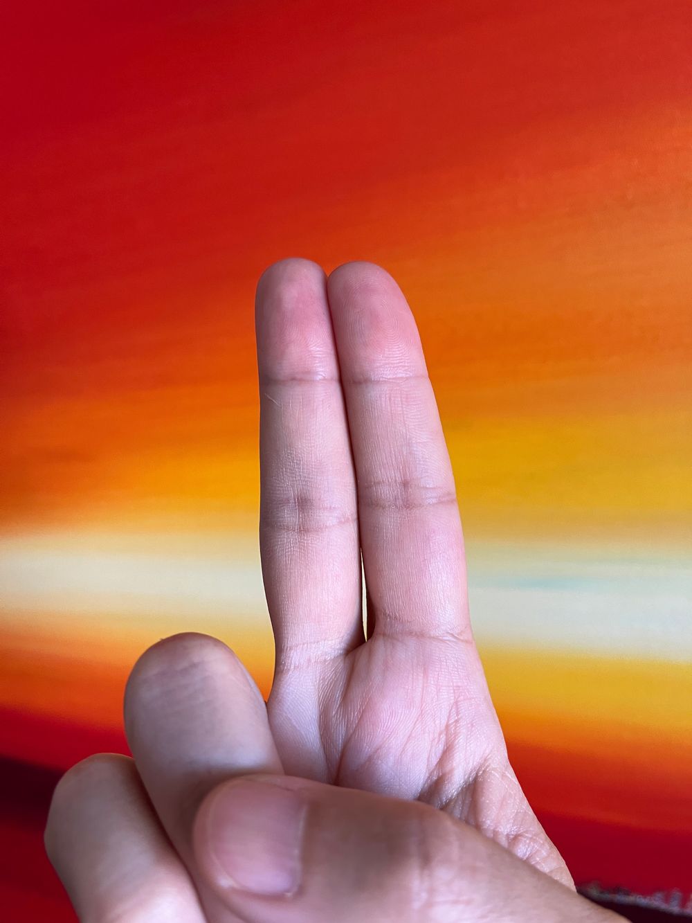 frankfragger OnlyFans profile picture