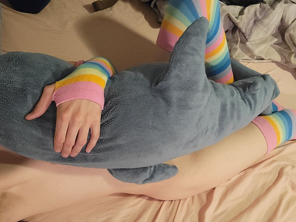 u373977537 OnlyFans profile picture