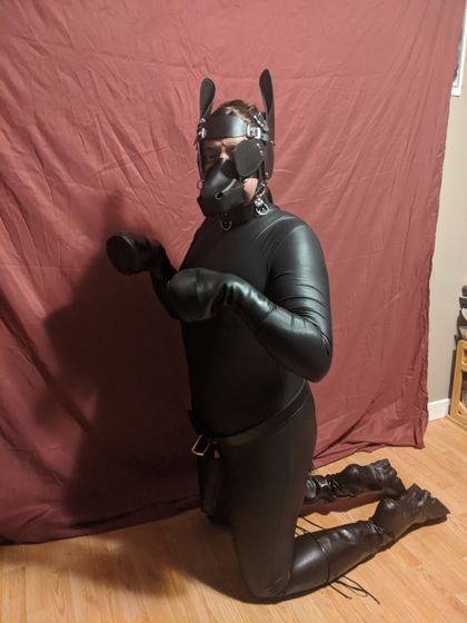 horsin_around OnlyFans picture