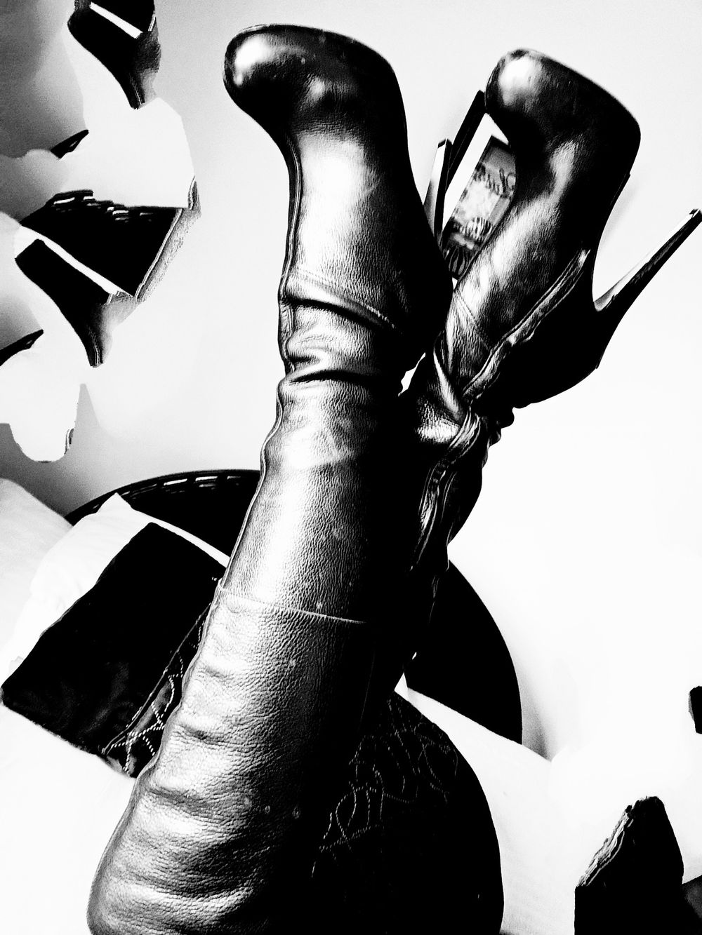 nzdominatrix OnlyFans profile picture
