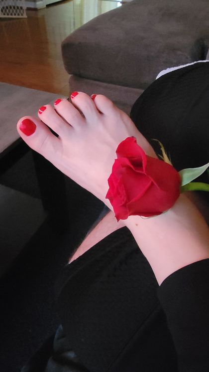 lovlytoesxo OnlyFans picture