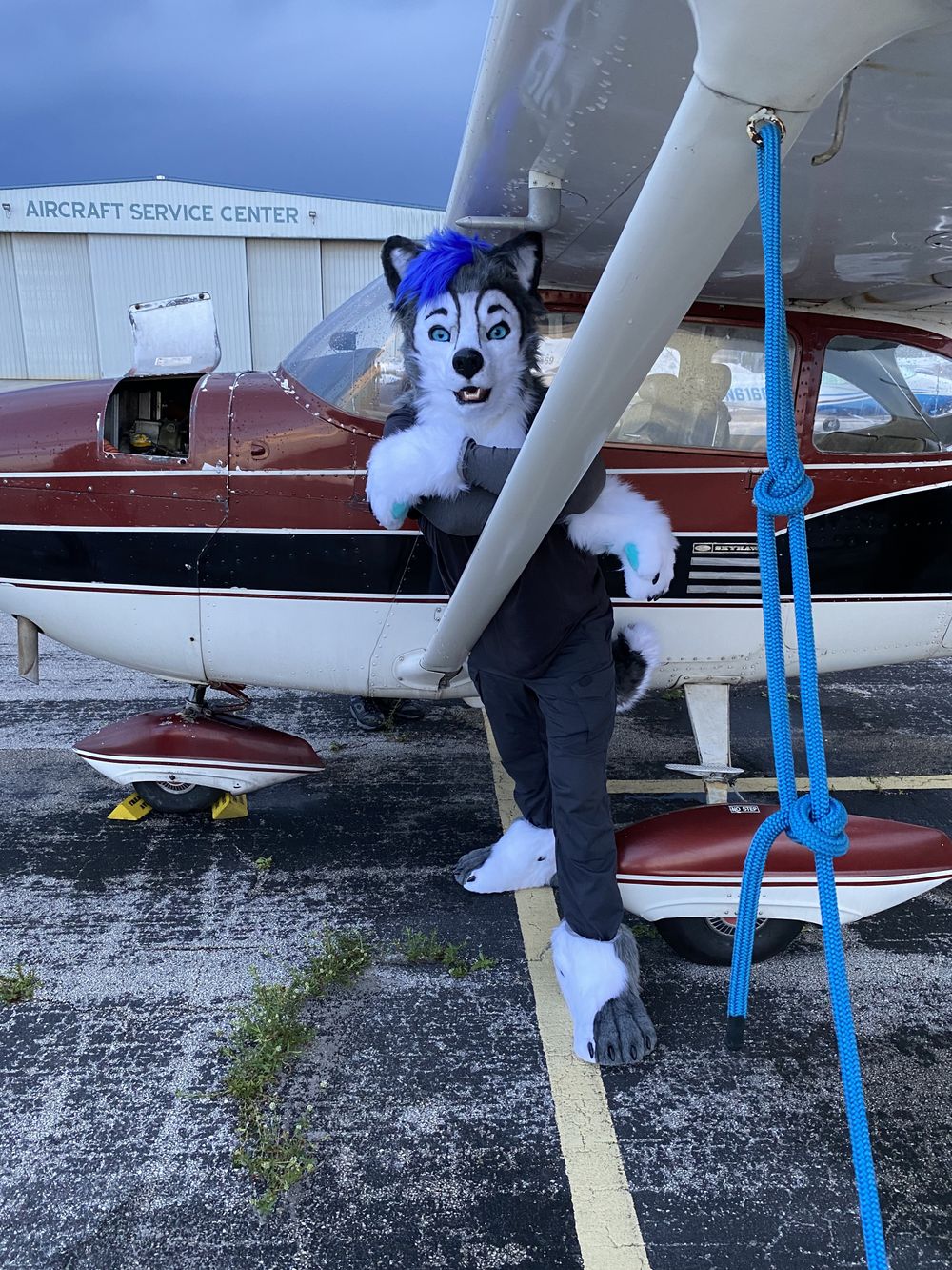 gravitystormhusky OnlyFans profile picture