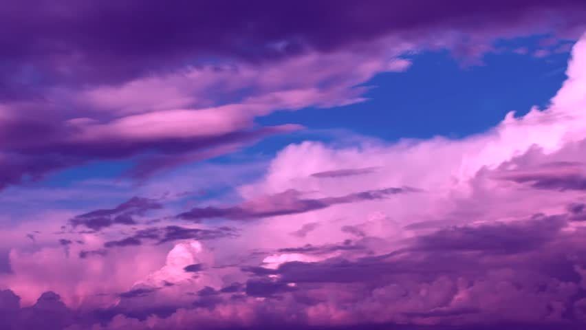 purplecotton OnlyFans profile picture