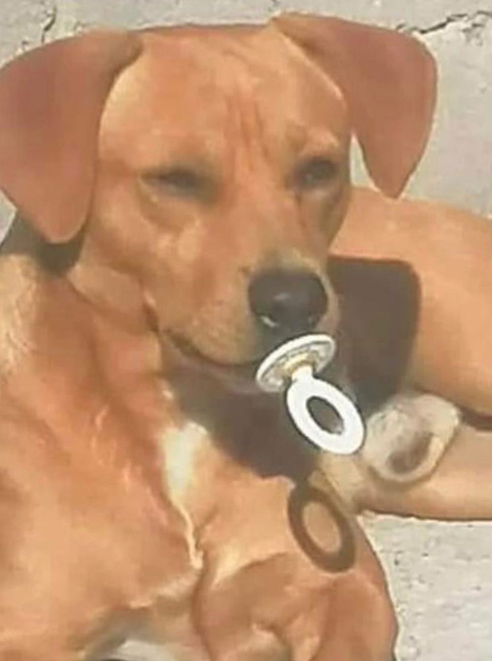 sauvvage OnlyFans profile picture
