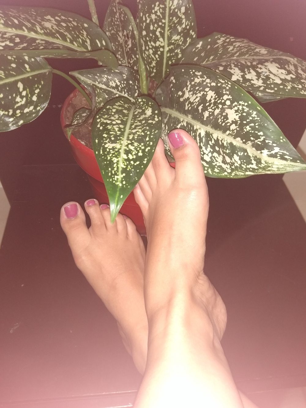 u316221058 OnlyFans profile picture