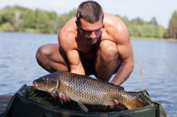 WildCarp