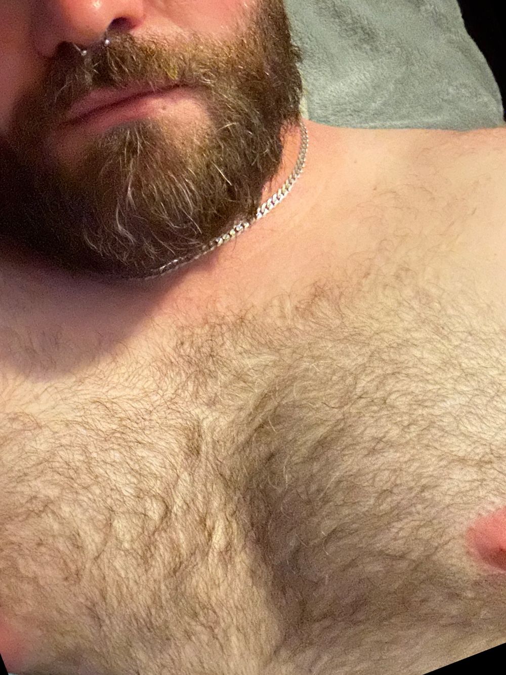 wildmanbear OnlyFans profile picture