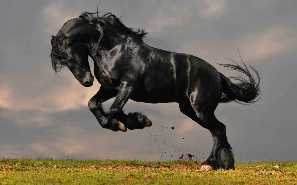slicktalianblaccstallion OnlyFans profile picture