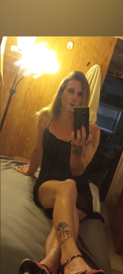 dingo127933 OnlyFans picture