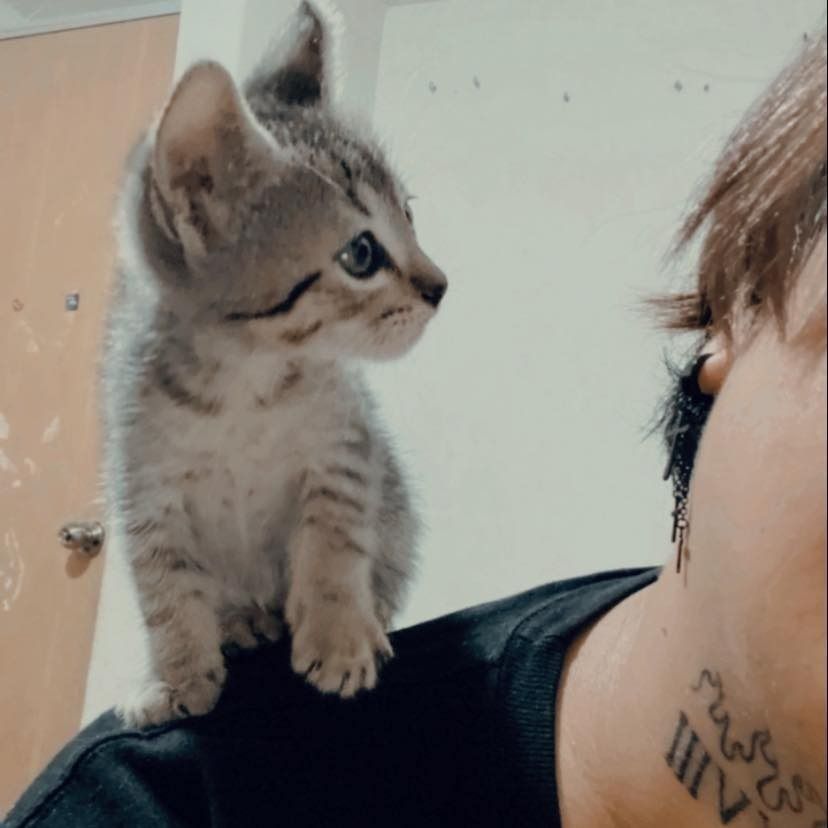 coquitafria OnlyFans profile picture
