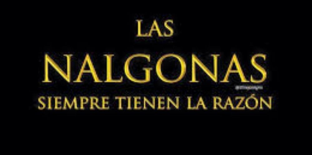 silvialanalgona OnlyFans profile picture