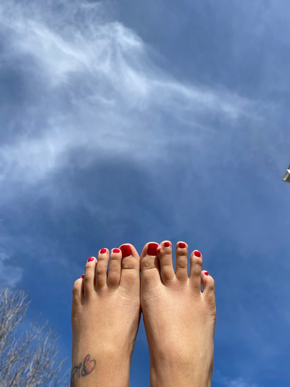 tendertoe OnlyFans profile picture