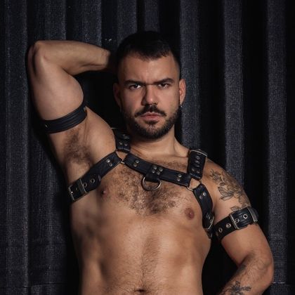 toyboycharliex OnlyFans picture