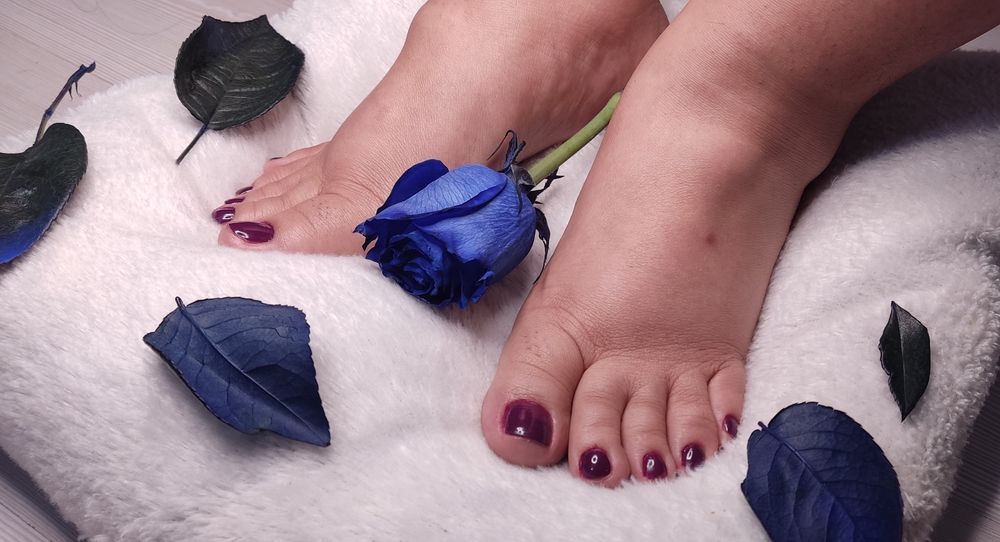 myangelsfeet OnlyFans profile picture