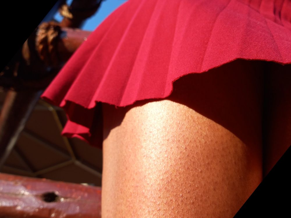 wolfieceezy OnlyFans profile picture