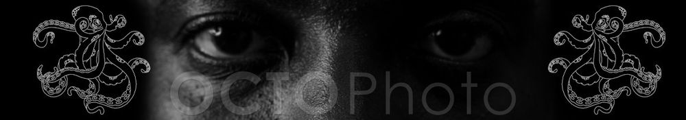 octophoto OnlyFans profile picture