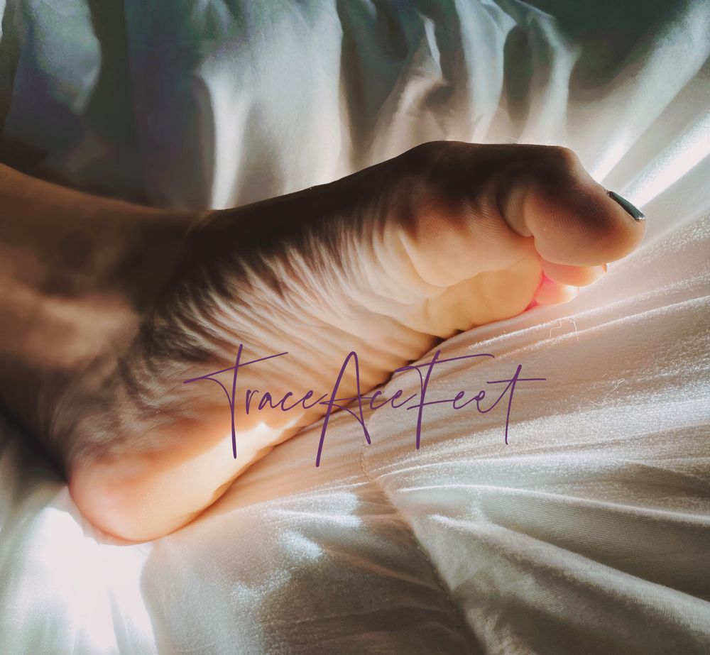traceacefeet OnlyFans profile picture