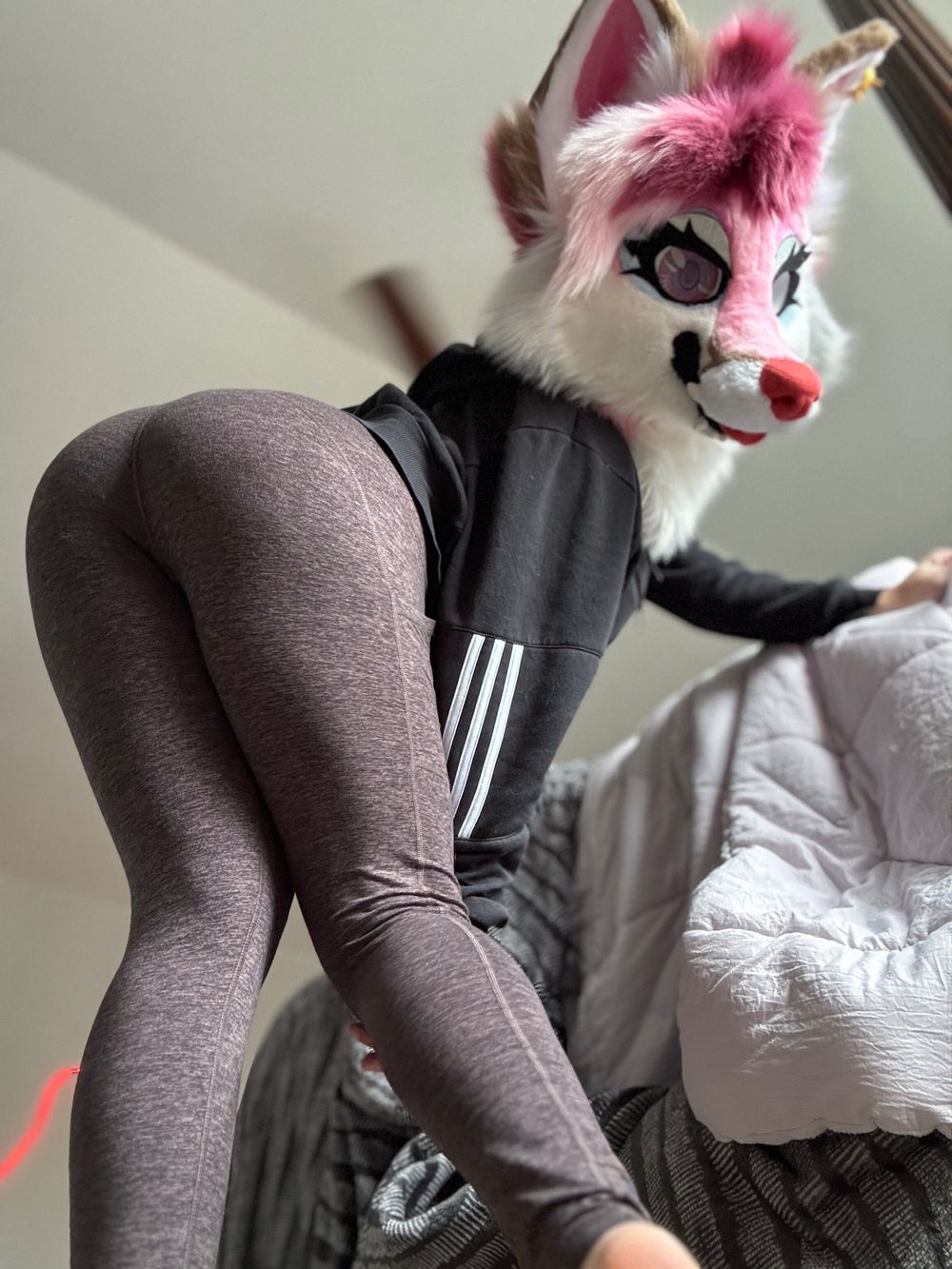 foxxyden OnlyFans profile picture