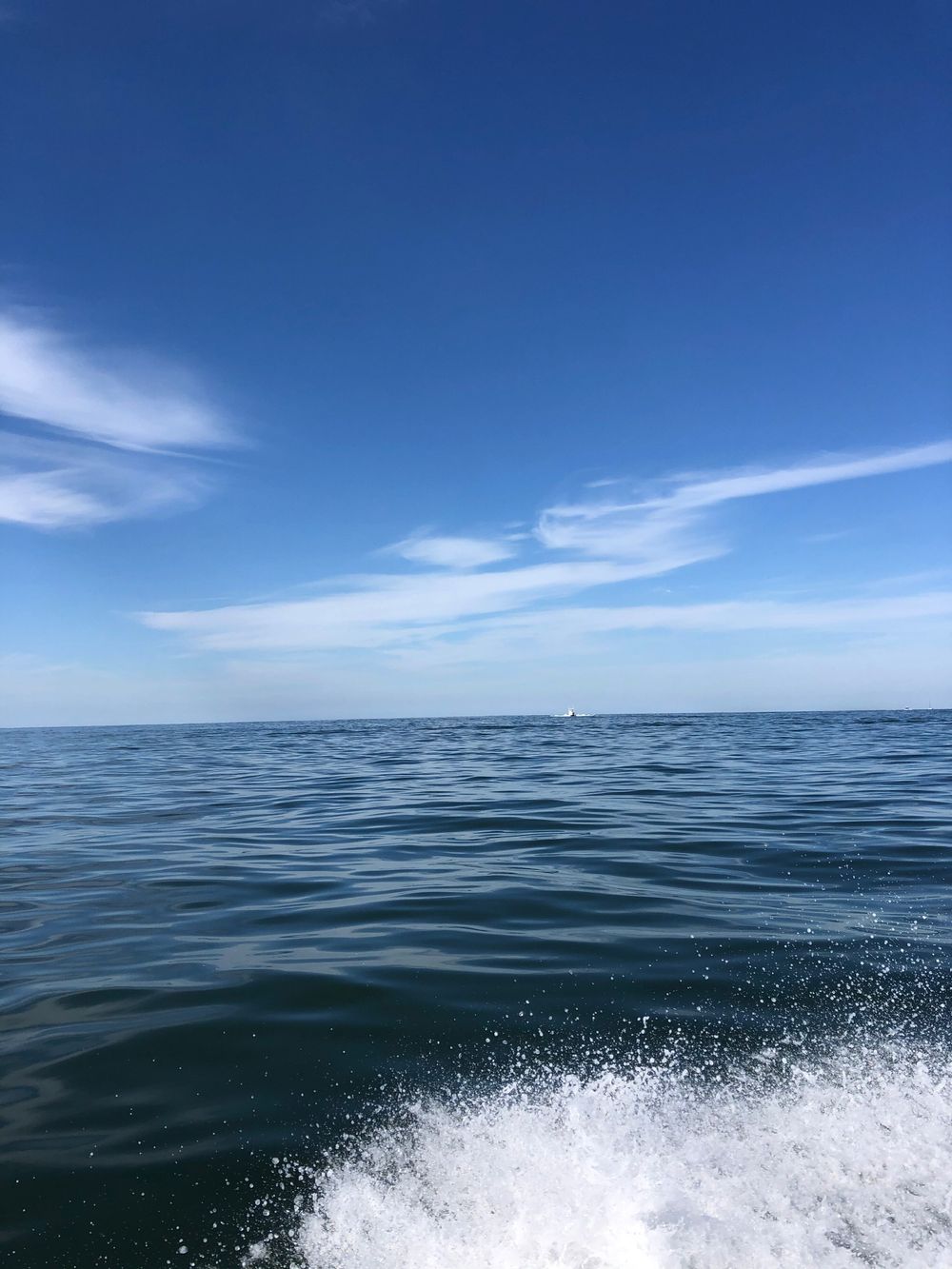 sea.nymph OnlyFans profile picture