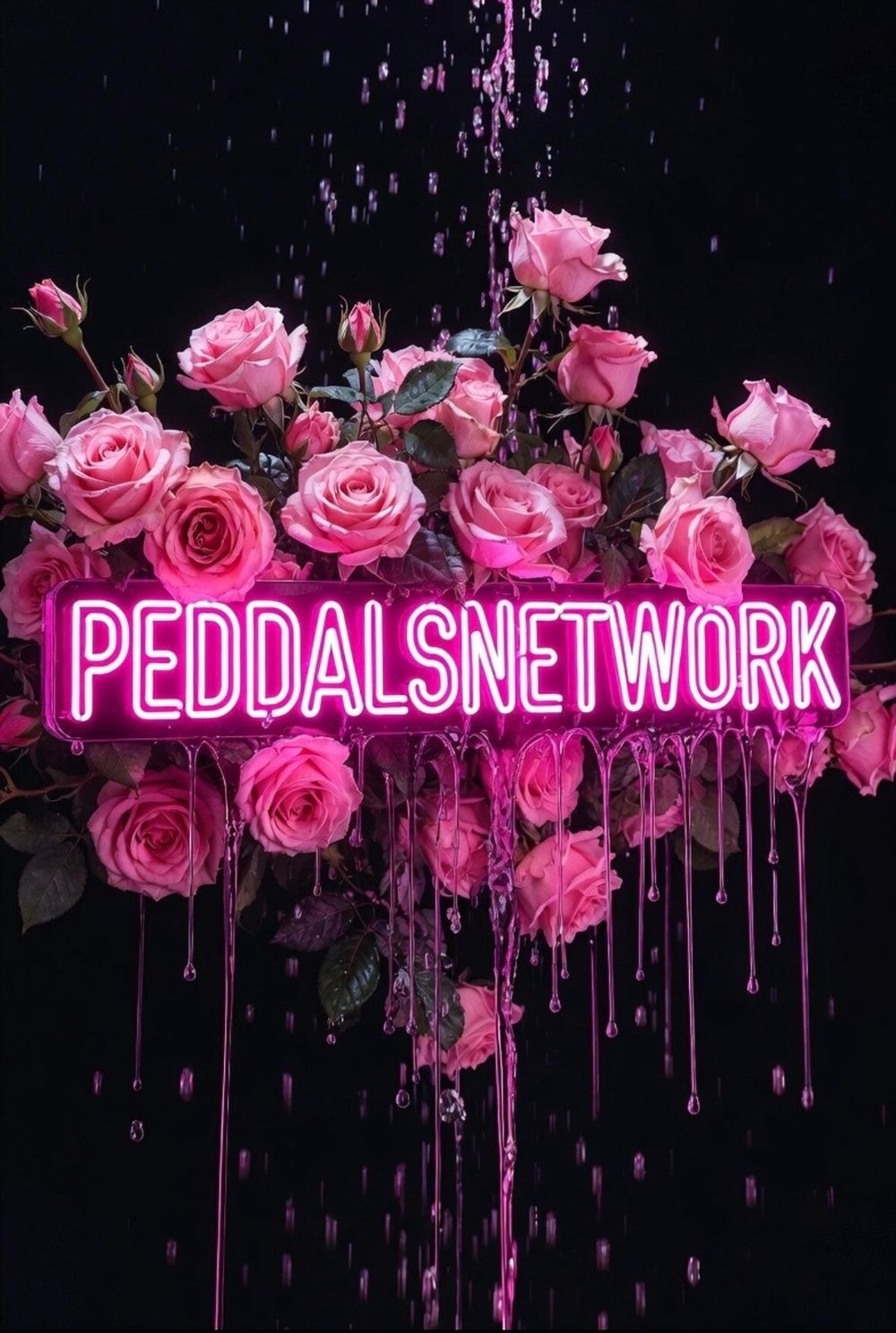 peddalsnetwork OnlyFans profile picture
