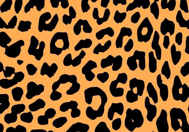 kelfofa OnlyFans profile picture