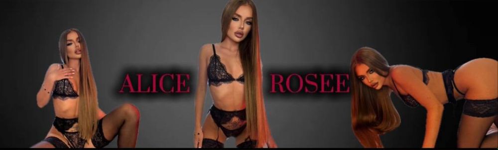 alicerosee OnlyFans profile picture