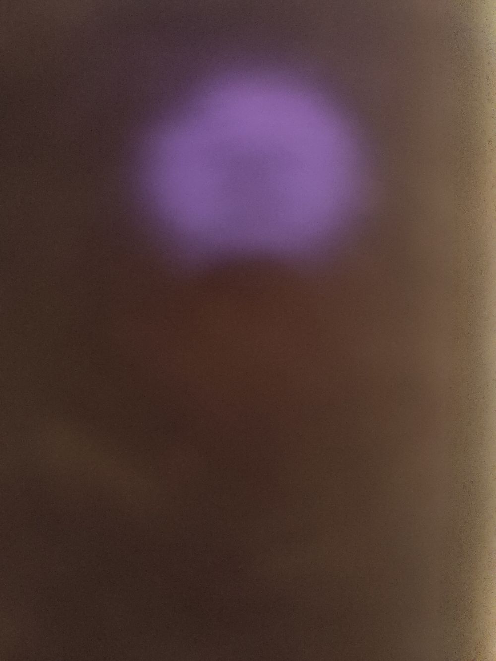 ddwtje OnlyFans profile picture