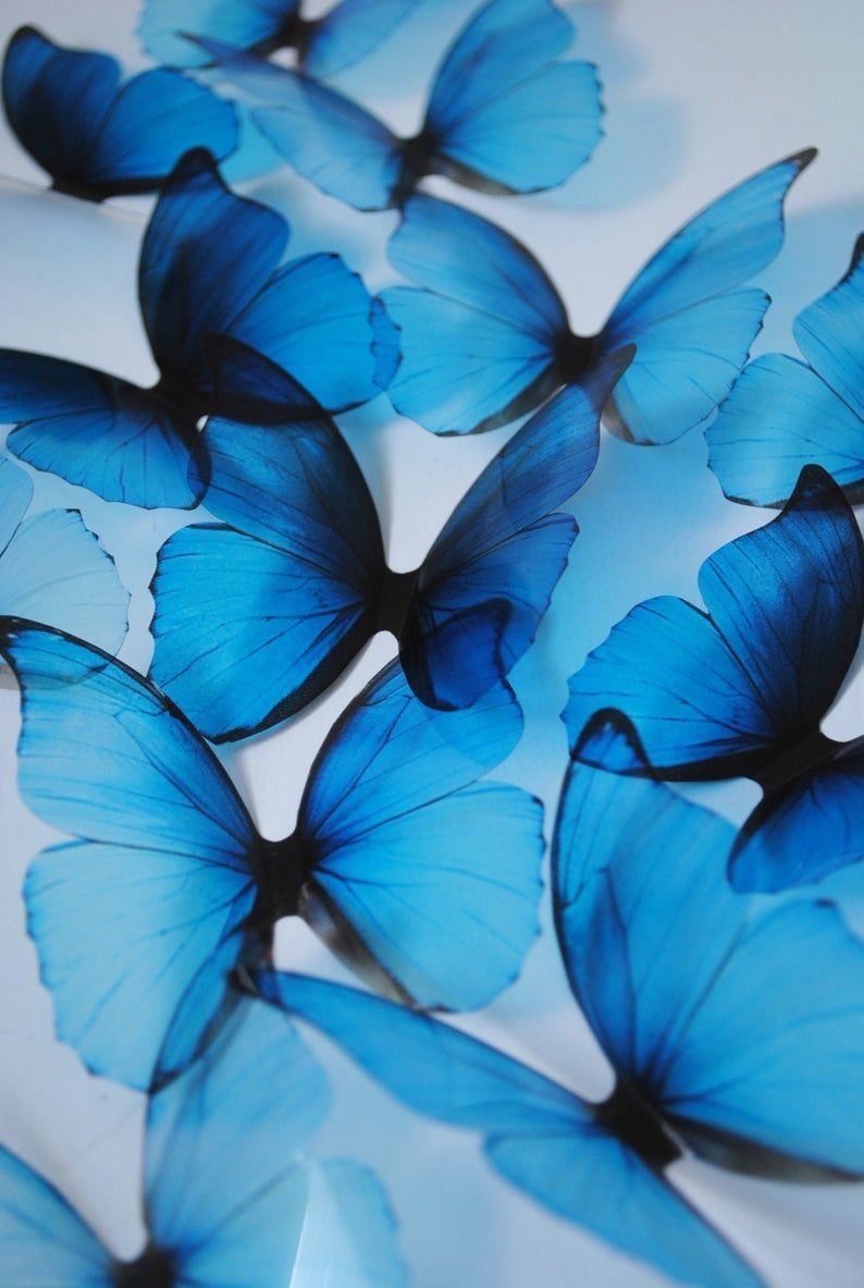 melancholicbutterfly OnlyFans profile picture