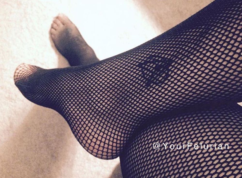yourfelurian OnlyFans profile picture