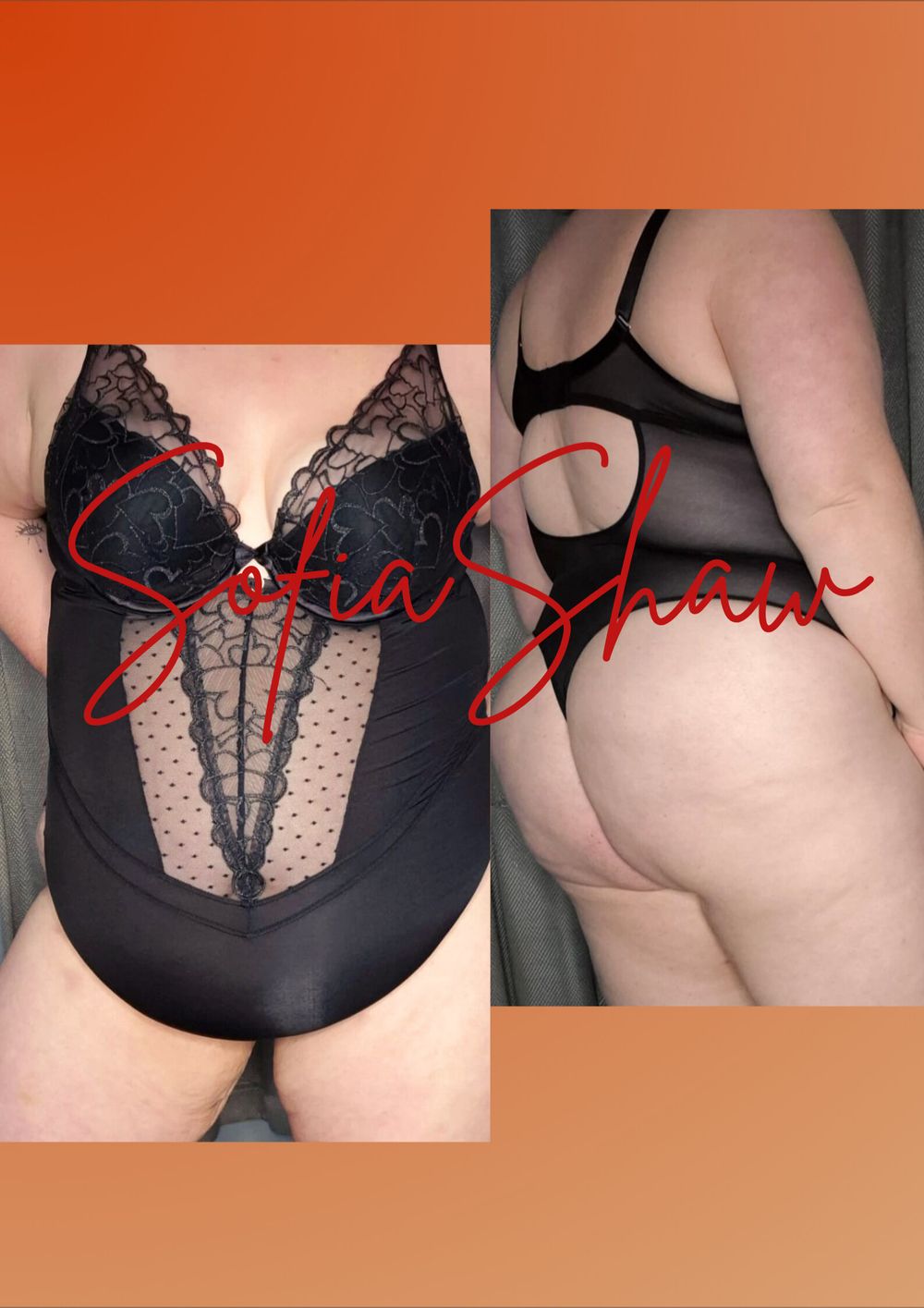 sofiashawfree OnlyFans profile picture