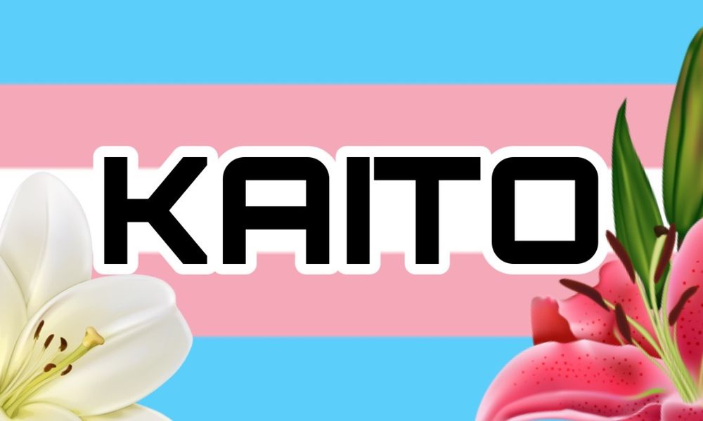 kaitobaby98 OnlyFans profile picture