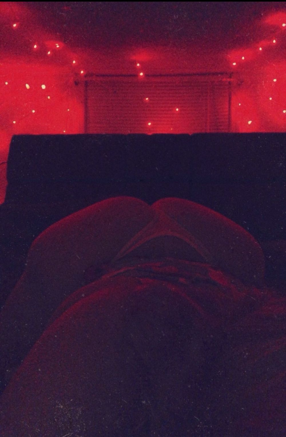 xoxo.trippy OnlyFans profile picture