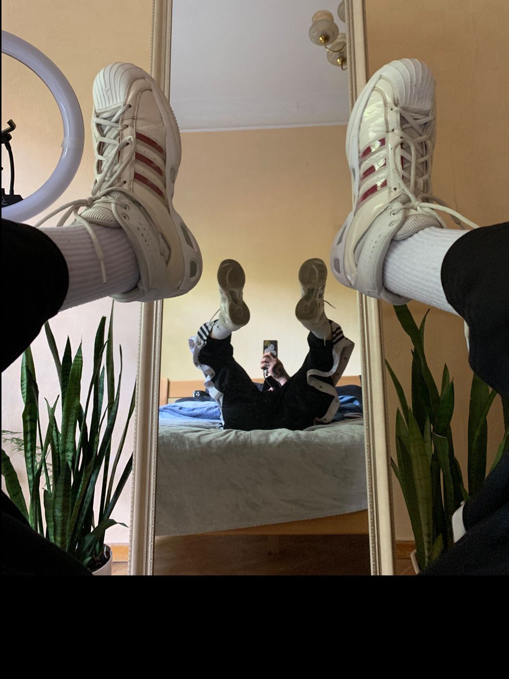 srgtok OnlyFans profile picture