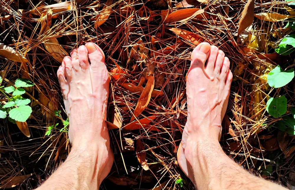will.i.am.feet OnlyFans profile picture