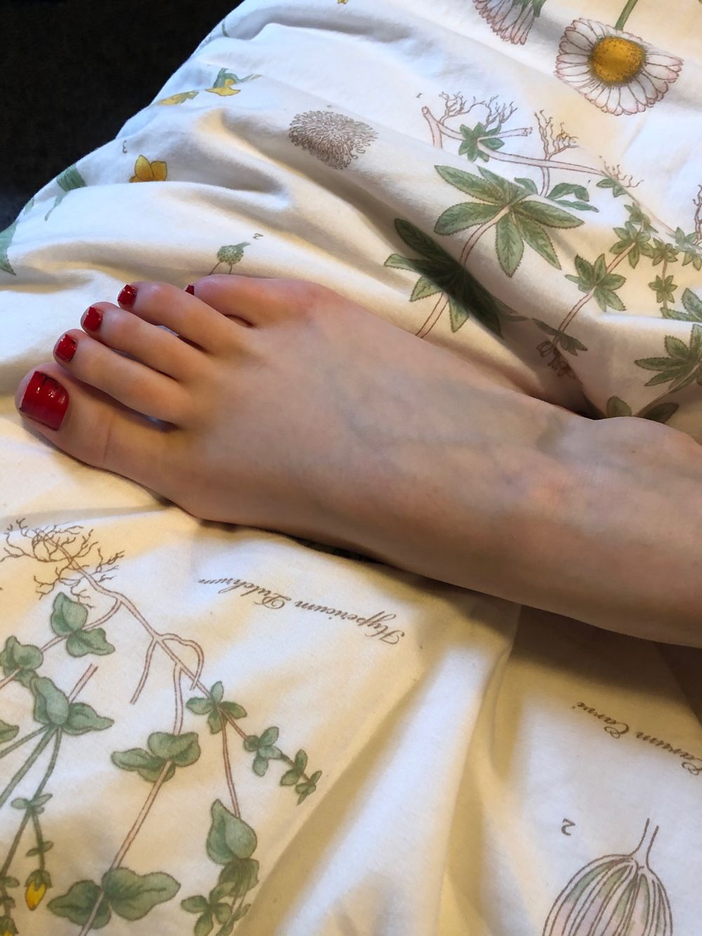 sweetfeetgoddess OnlyFans profile picture