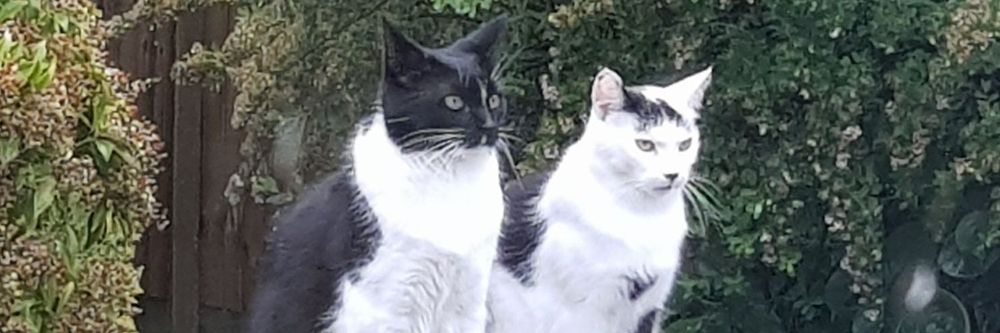 gpzbills OnlyFans profile picture