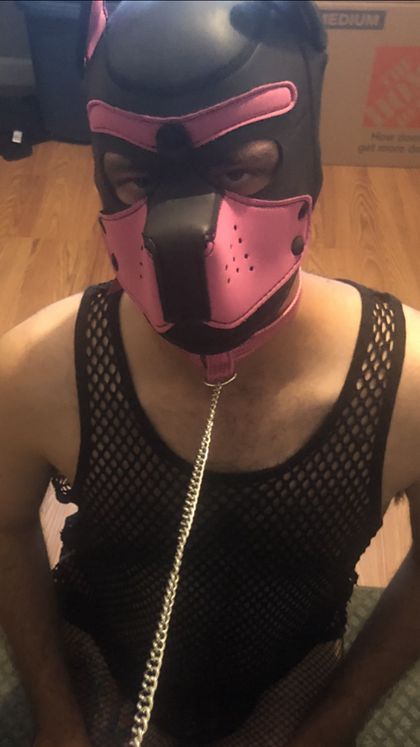 puppyamy95 OnlyFans picture