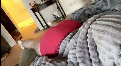 tr3y40 OnlyFans picture
