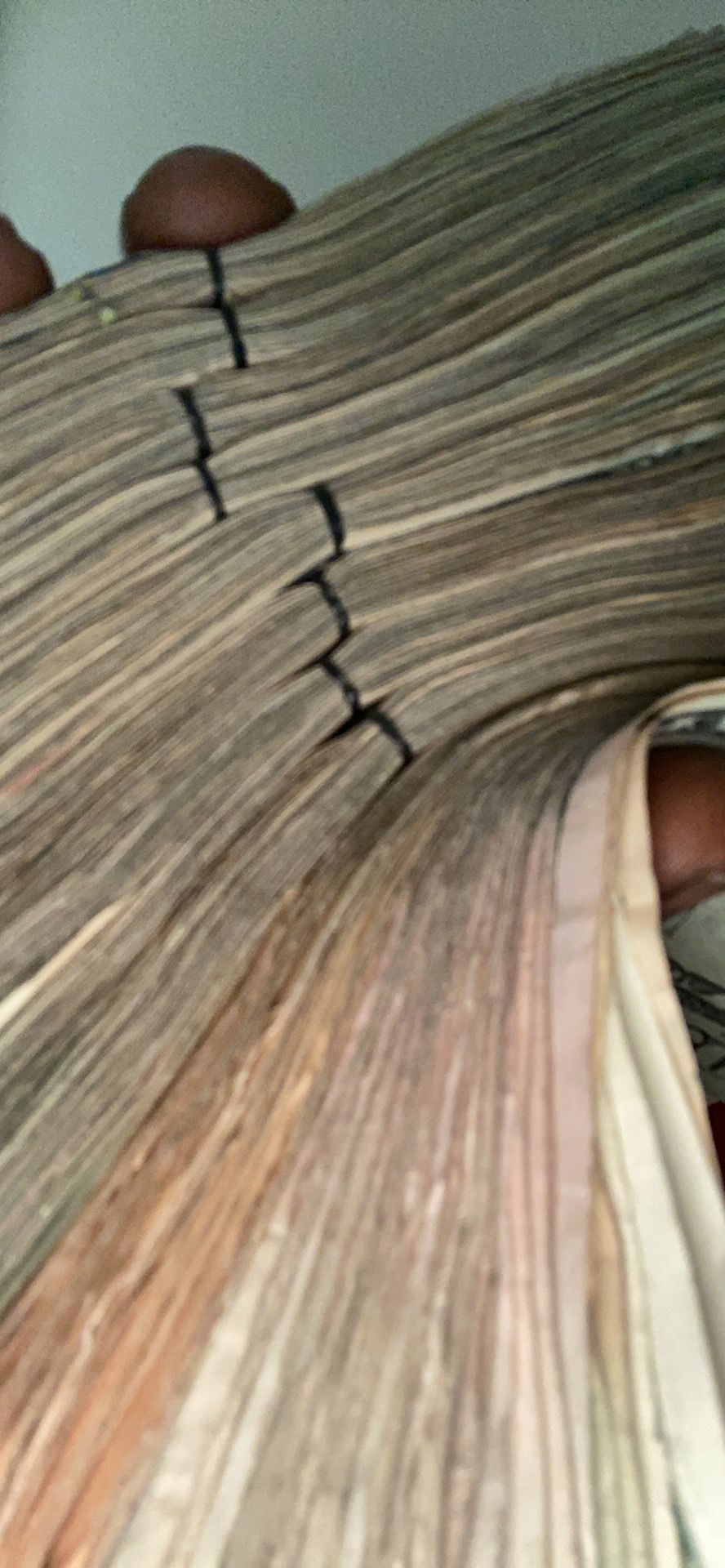 hbscoota OnlyFans profile picture