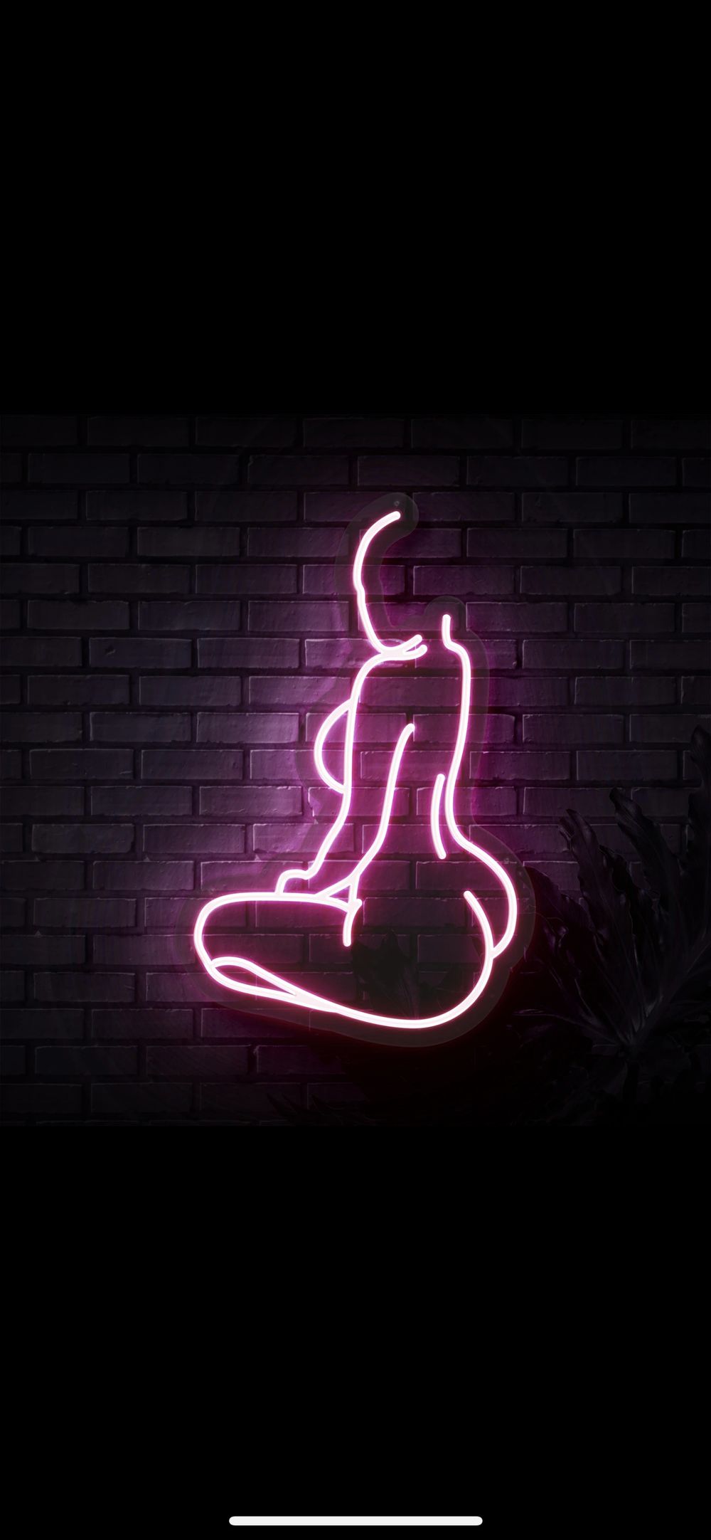 sumstar OnlyFans profile picture