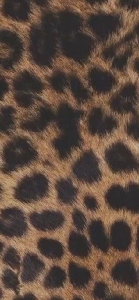 younglunaxoxo OnlyFans profile picture