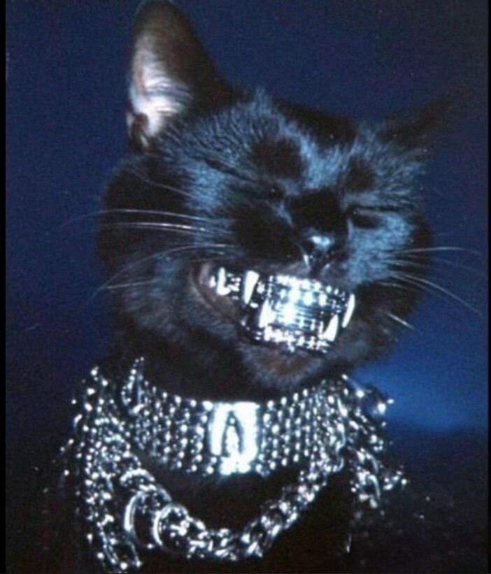 kinkypussnboots OnlyFans profile picture