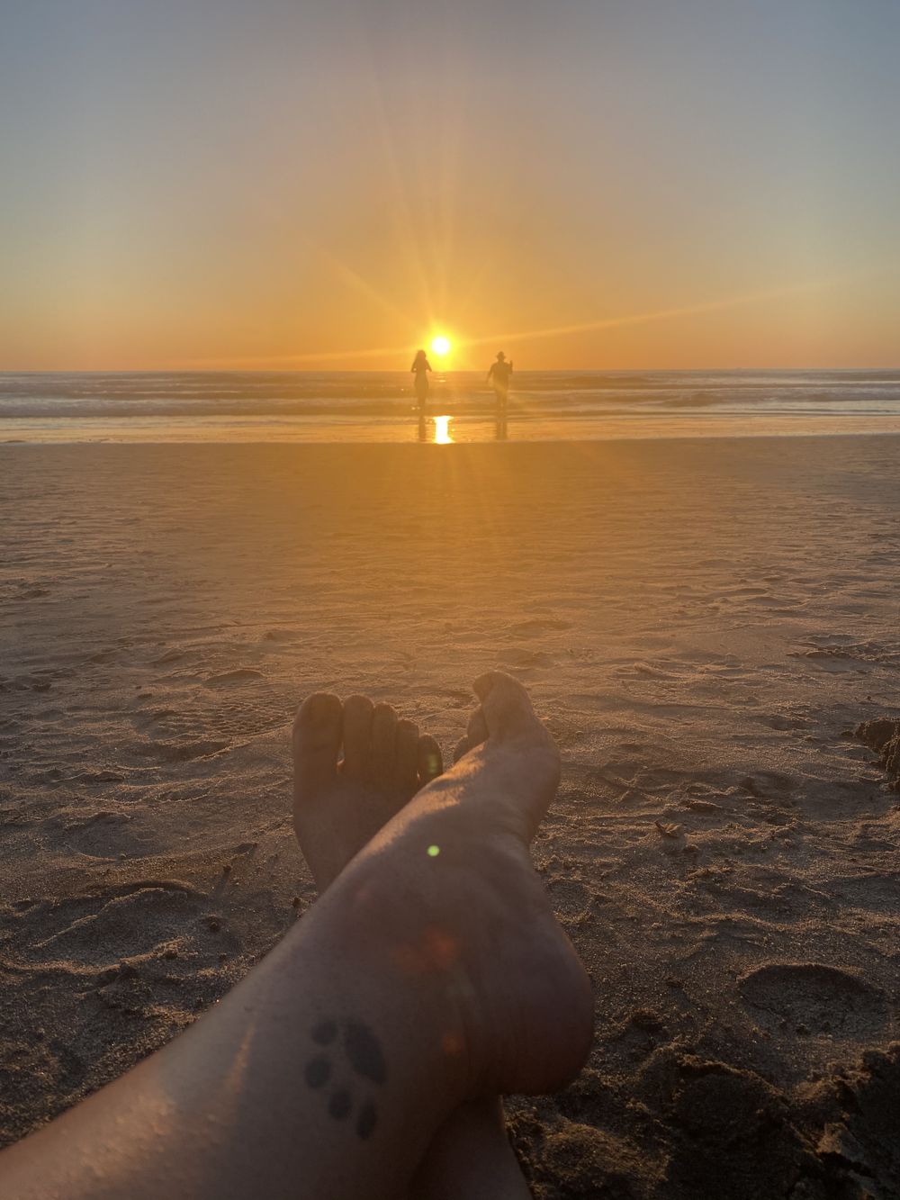cutetinytoes OnlyFans profile picture