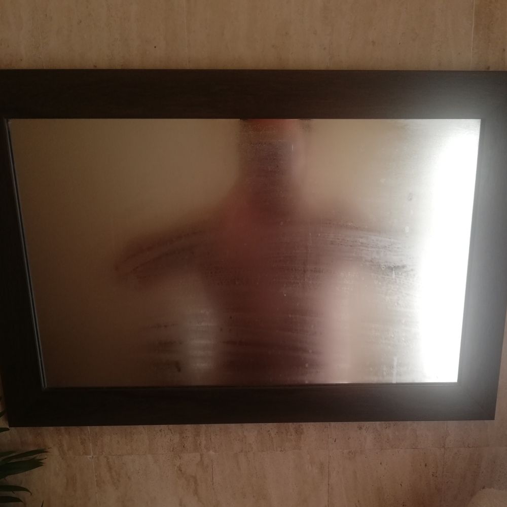 mr_arbol OnlyFans profile picture