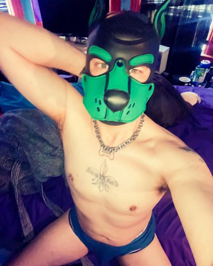 dozerpup OnlyFans picture