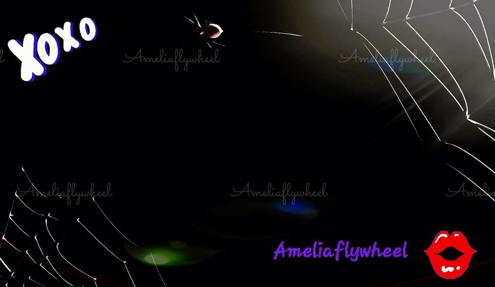 ameliaflywheel OnlyFans profile picture