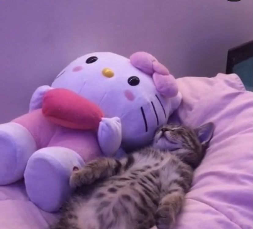 ceonanoosie OnlyFans profile picture