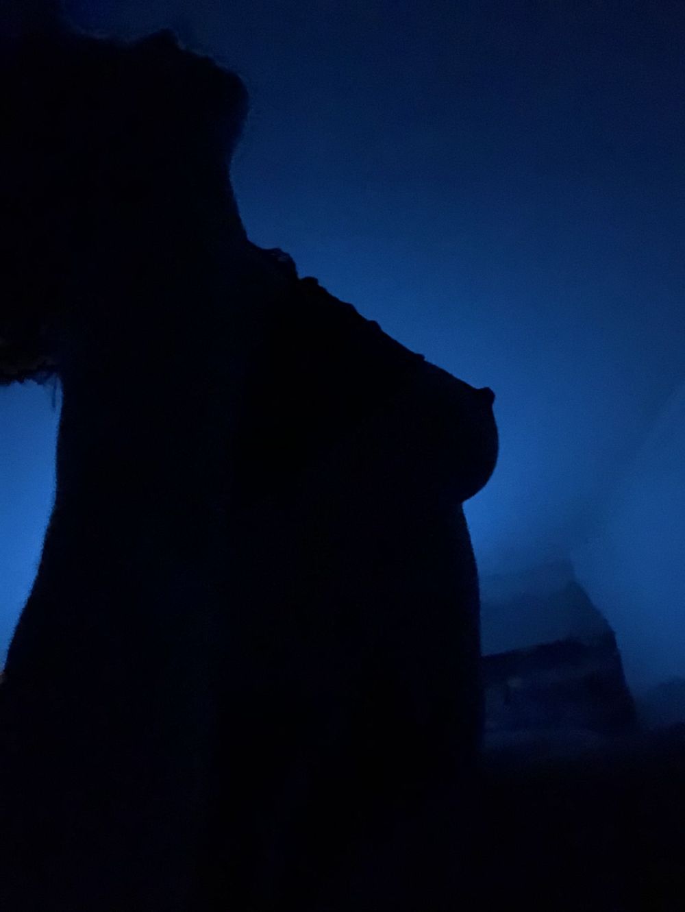 cattivass_premium OnlyFans profile picture